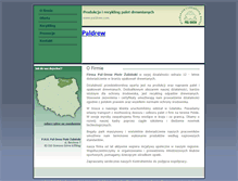 Tablet Screenshot of paldrew.info